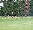 Jacksonville's Hyde Park Golf Club was designed by Donald Ross.