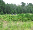 Here is the carry from the tee on no. 9 at Panther Creek Golf Club in  Jacksonville, Florida.