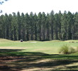 Trees serve as a backdrop on No. 5 at Cimarrone Golf Club in Jacksonville, Florida.