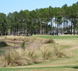No. 7 at Cimarrone Golf Club in Jacksonville, Florida, is a slight dogleg around a pond.