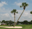 The Lagoon course at the Ponte Vedra Inn and Club has a south Florida look, with palms throughout.
