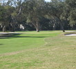 Architect Pete Dye neatly frames his Oak Marsh layout with the natural landscape, like here at No. 14. 