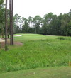 The 13th hole at Windsor Parke Golf Club puts a nature area between you and the green. It's a good distance to the green - 157 yards from the mid tee, 184 from the tips.