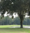 A large tree on the right side of the Champions Club at Julington Creek's eighth fairway can block out your second shot.