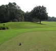 From the back tees on the Champions Club at Julington Creek's ninth hole, a single tree can cause havoc for your drive.