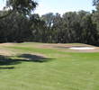If your drive is too ambitious, the tree on the left can cause problems on the second hole at Amelia River Golf Club.