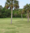 Palm trees clog the inside corner of the par-4 10th hole at Deerfield Lakes Golf Club.