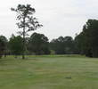 A couple of trees on the left can make the approach to the ninth green dicey at Deerfield Lakes Golf Club.
