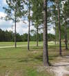 Cutting it too close right on the eighth hole at Eagle Landing at Oakleaf Plantation will cost you.