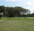A line of live oaks serve as a backdrop to the fifth green on the North Course at Fernandina Beach Golf Club.