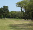 A magnolia tree on the left and an oak on the right tighten down access to the sixth green on the South Course at Fernandina Beach Golf Club.