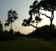 A troublesome tree wreaks havoc with tee shots on the sixth hole at the Players Stadium Course at TPC Sawgrass.