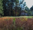 The par-3 17th is short but tough at Cimarrone Golf Club in Jacksonville, Fla.