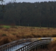 Marshes dominate the back nine at the Golf Club of Amelia Island.