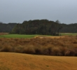 A ridge cuts through the 16th green at the Golf Club of Amelia Island. 