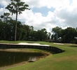 The 12th at Queen's Harbour Yacht and Country Club is a reachable par 5.