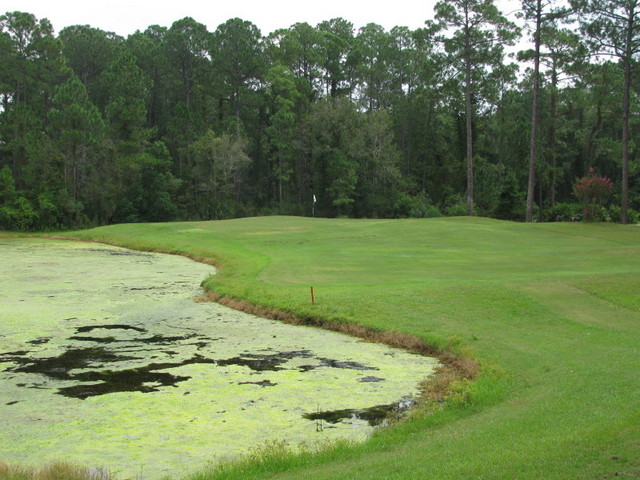 Mill Cove Golf Club - No. 15