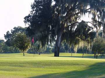 A sunny view of green at Palatka Golf Club