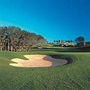 Ocean Hammock Golf Club