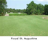 Royal  St. Augustine