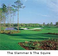 Marriott  Sawgrass Resort